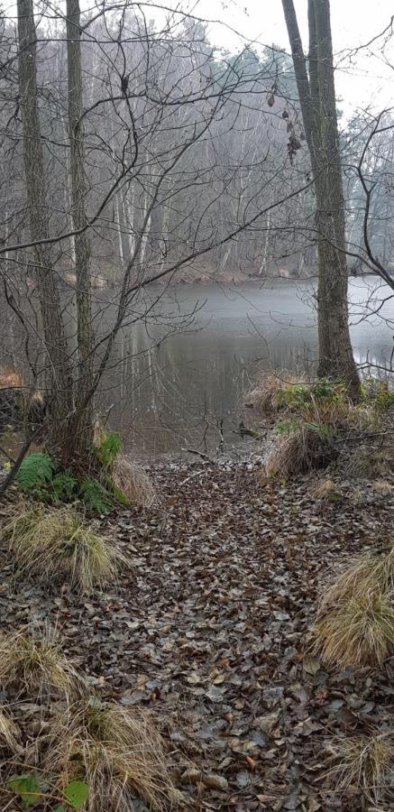 gemütliches Ferienhaus in Seenähe Sewekow Exterior foto